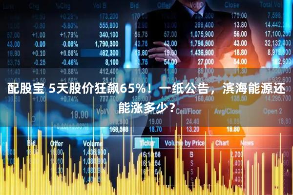配股宝 5天股价狂飙65%！一纸公告，滨海能源还能涨多少？