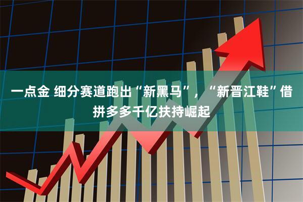 一点金 细分赛道跑出“新黑马”，“新晋江鞋”借拼多多千亿扶持崛起