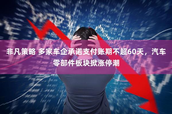 非凡策略 多家车企承诺支付账期不超60天，汽车零部件板块掀涨停潮