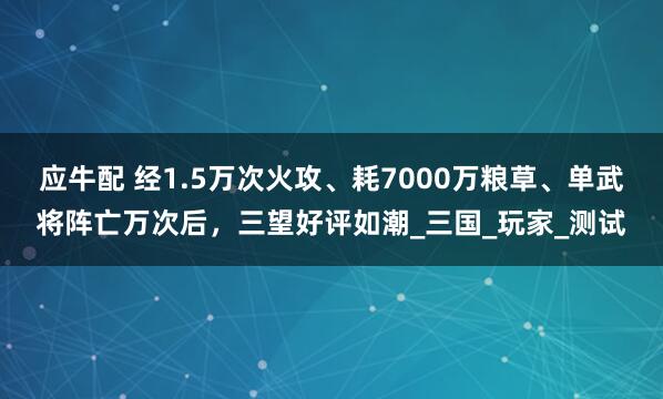 应牛配 经1.5万次火攻、耗7000万粮草、单武将阵亡万次后，三望好评如潮_三国_玩家_测试