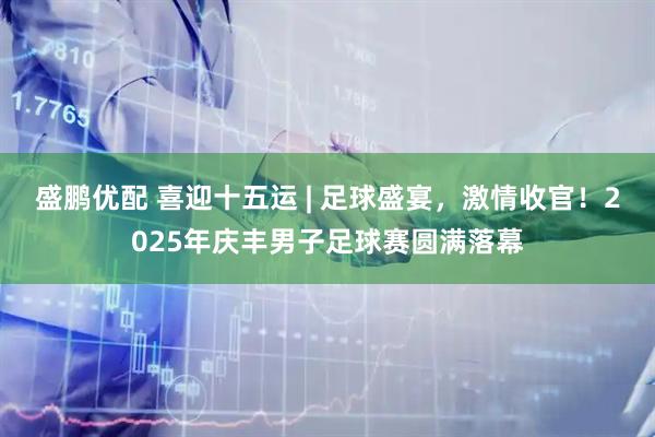 盛鹏优配 喜迎十五运 | 足球盛宴，激情收官！2025年庆丰男子足球赛圆满落幕