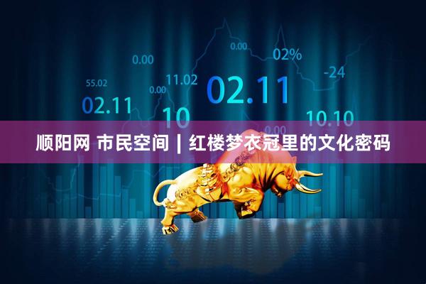 顺阳网 市民空间∣红楼梦衣冠里的文化密码