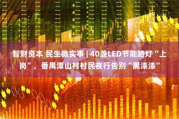 智财资本 民生微实事 | 40盏LED节能路灯“上岗”，番禺潭山村村民夜行告别“黑漆漆”