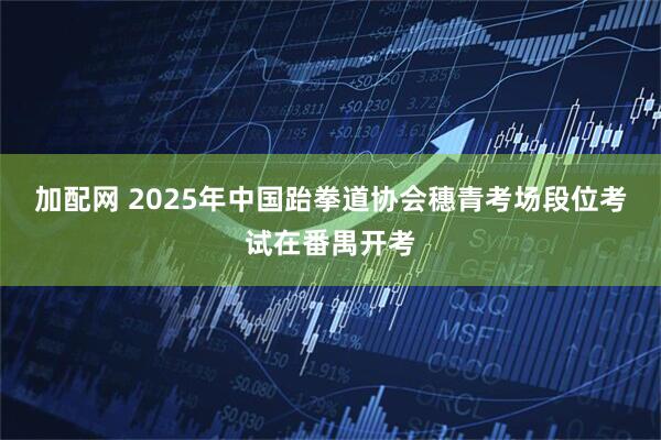 加配网 2025年中国跆拳道协会穗青考场段位考试在番禺开考