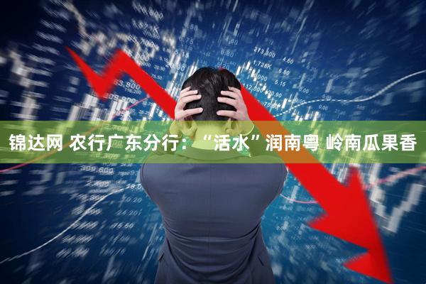 锦达网 农行广东分行：“活水”润南粤 岭南瓜果香