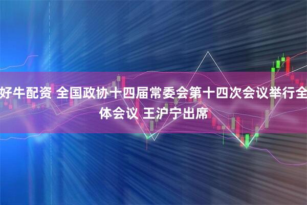 好牛配资 全国政协十四届常委会第十四次会议举行全体会议 　　王沪宁出席